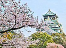 胡金秋16+6布朗轮休 北京单节7分遭广厦双杀